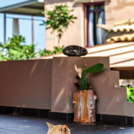 Malsova-home * Kotronion (West Mani)