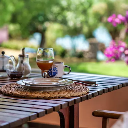 Σπίτι διακοπών Malsova-home Kotronion (West Mani)