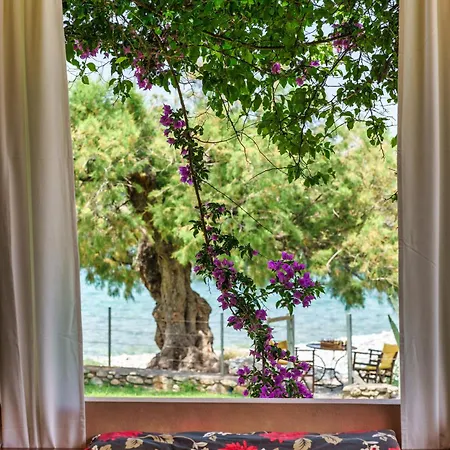 Malsova-home Σπίτι διακοπών Kotronion (West Mani)