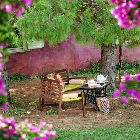 Malsova-home Dom wakacyjny