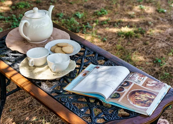 Feriehus Malsova-home