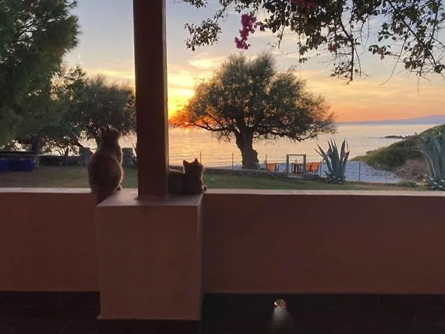 Feriehus Malsova-home Kotronion (West Mani)